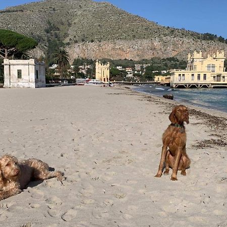 Due Cani Apartment Palermo Esterno foto